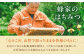 はちみつ とち蜜 500g×2本 はちみつ 蜂蜜 ハチミツ 国産はちみつ ハニー 