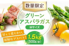 【5月中旬以降順次発送】【ニセコ町産】朝どりアスパラ Mサイズ1.5kg 《喜茂別町》【ニセコビュープラザ直売会協同組合】 アスパラ アスパラガス グリーンアスパラ 冷蔵 冷蔵配送 野菜 春野菜 [AJAH016]