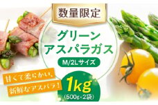 【5月中旬以降順次発送】朝どりアスパラ M／2L混サイズ1kg 《喜茂別町》【ニセコビュープラザ直売会協同組合】 アスパラ アスパラガス グリーンアスパラ 冷蔵 冷蔵配送 野菜 春野菜 季節の野菜 [AJAH017]