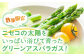 アスパラ 1kgアスパラ アスパラガス グリーンアスパラ   野菜 春野菜  旬野菜