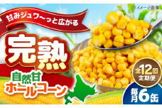 【全12回定期便】【北海道産】 自然甘ホールコーン 6缶（C7号缶）《喜茂別町》【きもべつ観光協会】 コーン コーン缶 とうもろこし トウモロコシ 北海道 常温 常温配送 [AJAG034]