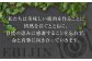 ペット用エゾ鹿挽き肉 ペット ペットフード ドッグフードおやつ ご褒美 トッピング 犬用 愛犬 わんちゃん 鹿肉 