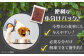 ペット用エゾ鹿挽き肉 ペット ペットフード ドッグフードおやつ ご褒美 トッピング 犬用 愛犬 わんちゃん 鹿肉 