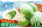 メロン 子メロン ベビーメロン 漬物 野菜 旬 果物 先行予約 フルーツ