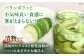 メロン 子メロン ベビーメロン 漬物 野菜 旬 果物 先行予約 フルーツ