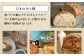 パン パンセット ベーカリー ハード系 朝食 おまかせ 小麦