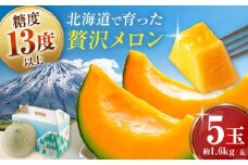 赤肉メロン 5玉 (約1.6kg/玉)  ※2025年8月下旬以降順次発送 《喜茂別町》【Aコープようてい】 メロン めろん 赤肉 赤肉メロン 贈答 贈答用 デザート フルーツ 果物 常温 常温配送 北海道 甘い ギフト プレゼント 産地直送 産直 贅沢 ぜいたく ご褒美 特別 季節限定 [AJAK005] 27000 27000円