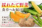メロン めろん 大玉 赤肉メロン 贅沢 産地直送 北海道 甘い