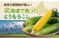 とうもろこし トウモロコシ スイートコーン コーン 産地直送 旬 野菜 高糖度