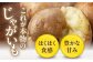 じゃがいも ジャガイモ 新じゃが 男爵 男爵芋 旬 イモ 野菜 期間限定 10kg