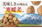 じゃがいも ジャガイモ 新じゃが 男爵 男爵芋 旬 イモ 野菜 期間限定 10kg