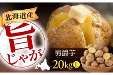  【先行予約】 北海道産 じゃがいも 男爵芋 20kg ※2025年9月下旬以降順次発送 《喜茂別町》【Aコープようてい】 じゃがいも ジャガイモ 新じゃが 男爵 男爵芋 ポテト 芋 じゃが芋 旬 イモ 野菜 農作物 期間限定 ほくほく しっとり 産地直送 旬 お取り寄せ 北海道 北海道のジャガイモ 食品 根菜 産直 国産 常備野菜 常温 [AJAK009] 15000 15000円