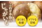 じゃがいも ジャガイモ 新じゃが 10kg キタアカリ 旬 イモ 野菜 期間限定