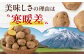 じゃがいも ジャガイモ 新じゃが 10kg キタアカリ 旬 イモ 野菜 期間限定