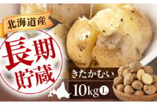【先行予約】じゃがいも きたかむい 10kg ※2026年1月以降順次発送 《喜茂別町》【Aコープようてい】 ジャガイモ 野菜 季節の野菜 詰め合わせ 北海道 産地直送