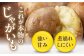 じゃがいも きたかむい 10Kg ジャガイモ 野菜 季節の野菜 詰め合わせ 北海道 産地直送