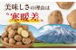 じゃがいも きたかむい 10Kg ジャガイモ 野菜 季節の野菜 詰め合わせ 北海道 産地直送