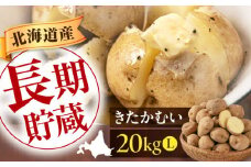 【先行予約】じゃがいも きたかむい 20kg ※2026年1月以降順次発送《喜茂別町》【Aコープようてい】 ジャガイモ 野菜 季節の野菜 詰め合わせ 北海道 産地直送 [AJAK013] 15000 15000円