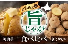 【先行予約】じゃがいも 食べ比べセット 20kg（男爵芋・きたかむい各10kg）※2026年1月以降順次発送《喜茂別町》【Aコープようてい】 ジャガイモ 男爵芋 きたかむい 季節の野菜 詰め合わせ 北海道