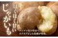 キタアカリ・玉ねぎセット 計20kg 北海道 じゃがいも ジャガイモ 玉ねぎ キタアカリ 季節の野菜 産地直送