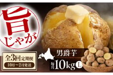【全3回定期便】【先行予約】 じゃがいも 男爵芋 10kg ※2025年10月〜2月発送《喜茂別町》【Aコープようてい】 ジャガイモ じゃがいも 野菜 季節の野菜 詰め合わせ 北海道 産地直送 定期便