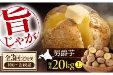 【全3回定期便】【先行予約】 じゃがいも 男爵芋 20kg ※2025年10月〜2月発送《喜茂別町》【Aコープようてい】 ジャガイモ じゃがいも 野菜 季節の野菜 詰め合わせ 北海道 産地直送 定期便