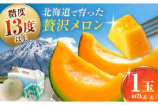 北海道産赤肉メロン 1玉 (約2kg/玉) ※2025年8月中旬以降順次発送《喜茂別町》【Aコープようてい】 メロン めろん 赤肉 赤肉メロン 贈答 贈答用 贈答品 贈り物 デザート フルーツ 果物 常温 常温配送 北海道 甘い ギフト プレゼント 産直 贅沢 ぜいたく ご褒美 特別 季節限定 期間限定 [AJAK023] 9000 9000円 9千円