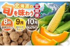【全3回定期便】 旬の恵み定期便 《喜茂別町》 【Aコープようてい】野菜 季節の野菜 詰め合わせ 北海道 産地直送 定期便 [AJAK025]