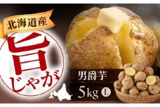 【9月下旬以降順次発送】 じゃがいも 男爵芋 5kg 《喜茂別町》【Aコープようてい】 ジャガイモ じゃがいも 野菜 季節の野菜 詰め合わせ 北海道 産地直送 [AJAK027]