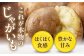 ジャガイモ じゃがいも 野菜 季節の野菜 詰め合わせ 北海道 産地直送 男爵芋