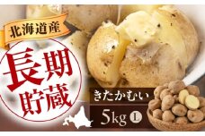 【2026年1月以降順次発送】 じゃがいも きたかむい 5kg 《喜茂別町》【Aコープようてい】 ジャガイモ 野菜 季節の野菜 詰め合わせ 北海道 産地直送 [AJAK029]