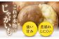 ジャガイモ 野菜 季節の野菜 詰め合わせ 北海道 産地直送 きたかむい