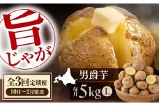【全3回定期便】　【10月〜2月発送】 じゃがいも 男爵芋 5kg　《喜茂別町》【Aコープようてい】 ジャガイモ じゃがいも 野菜 季節の野菜 詰め合わせ 北海道 産地直送 定期便 [AJAK031]
