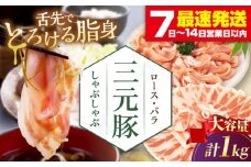 三元豚 しゃぶしゃぶ セット 計 1kg ( ロース・バラ )  だし・昆布ナシ 《喜茂別町》【平田牧場】 肉 豚肉 ロース バラ ロース肉 バラ肉 しゃぶしゃぶ 鍋 お鍋 冷凍配送 [AJAP179]