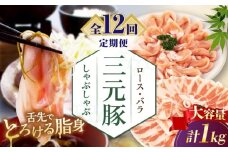 【全12回定期便】三元豚 しゃぶしゃぶ セット 計 1kg  ( ロース・バラ )  だし・昆布ナシ 《喜茂別町》【平田牧場】 肉 豚肉 ロース バラ ロース肉 バラ肉 しゃぶしゃぶ 鍋 お鍋 定期便 [AJAP183]