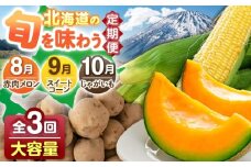 【全3回定期便】 旬の恵み定期便 （大容量セット）　《喜茂別町》 【Aコープようてい】　野菜 季節の野菜 詰め合わせ 大容量 北海道 産地直送 定期便 [AJAK026]