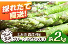 【2026年分予約開始！】喜茂別産 採れたて！グリーンアスパラガス 約2kg 《喜茂別町》【富田農園/スプレス】 アスパラ アスパラガス グリーンアスパラガス 季節の野菜 春野菜 先行予約 北海道 [AJAJ005] 23000 23000円