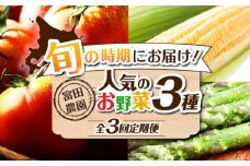 【全3回定期便】【2026年発送】  旬のお野菜 定期便 《喜茂別町》【富田農園/スプレス】 野菜 季節の野菜 春野菜 夏野菜 秋野菜 アスパラ トマト コーン トウモロコシ 北海道 産地直送 [AJAJ001] 54000 54000円
