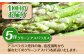 旬のお野菜 定期便野菜  春野菜 夏野菜 秋野菜 アスパラ トマト コーン トウモロコシ 北海道 産地直送