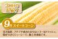 旬のお野菜 定期便野菜  春野菜 夏野菜 秋野菜 アスパラ トマト コーン トウモロコシ 北海道 産地直送