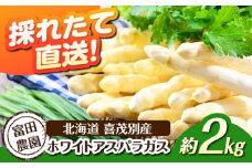 【2026年分予約開始！】喜茂別産 採れたて！ホワイトアスパラガス 約2kg 《喜茂別町》【富田農園/スプレス】 アスパラ アスパラガス ホワイトアスパラガス 季節の野菜 春野菜 先行予約 北海道 [AJAJ008] 23000 23000円