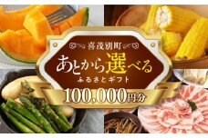 【喜茂別町】あとから選べるふるさとギフト 10万円分《北海道喜茂別町》 豚肉 ジビエ ハム ソーセージ メロン じゃがいも アスパラガス 定期便 北海道 [AJZZ006] 100000 100000万 10万円