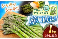 【2026年4月上旬以降順次発送】 グリーンアスパラガス 1kg （M・L混在/ハウス栽培） 《喜茂別町》【久保田農園】 アスパラ アスパラガス グリーンアスパラ 冷蔵 冷蔵配送 野菜 春野菜 季節の野菜 北海道 [AJAM006] 13000 13000円