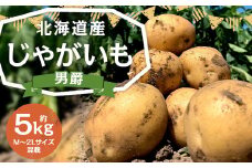 北海道産 じゃがいも 男爵 M～2Lサイズ混載 約5kg 1箱 山田農場 ジャガイモ 芋 いも イモ 国産 【2025年9月下旬-2026年3月上旬迄発送予定】