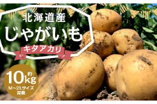 北海道産 じゃがいも キタアカリ M～2Lサイズ混載 約10kg 1箱 山田農場 ジャガイモ 芋 いも イモ 国産 【2025年9月下旬-2026年3月上旬迄発送予定】