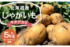 北海道産 じゃがいも キタアカリ M～2Lサイズ混載 約5kg 1箱 山田農場 ジャガイモ 芋 いも イモ 国産 【2025年9月下旬-2026年3月上旬迄発送予定】