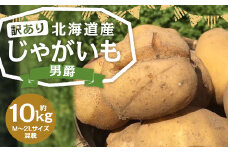 【訳あり】北海道産 じゃがいも 男爵 M～2Lサイズ混載 約10kg 1箱 山田農場 ジャガイモ 芋 いも イモ 訳アリ わけあり ワケアリ 国産 【2025年9月下旬-2026年3月上旬迄発送予定】