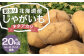【訳あり】北海道産 じゃがいも キタアカリ M～2Lサイズ混載 約20kg 1箱 山田農場