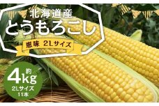 北海道産 とうもろこし 恵味 2Lサイズ 11本 約4kg 1箱 国産 トウモロコシ 冷蔵 【2025年8月上旬-8月下旬迄発送予定】