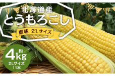 北海道産 とうもろこし 恵味 2Lサイズ 11本 約4kg 1箱 国産 トウモロコシ 冷蔵 【2025年8月上旬-8月下旬迄発送予定】